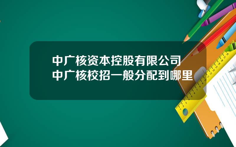 中广核资本控股有限公司 中广核校招一般分配到哪里